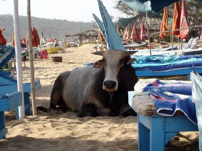 las playas de Goa