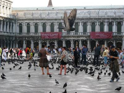 plaza de San Marcos, en Venecia, turistas y palomas