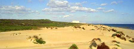 foto de las dunas de guardamar